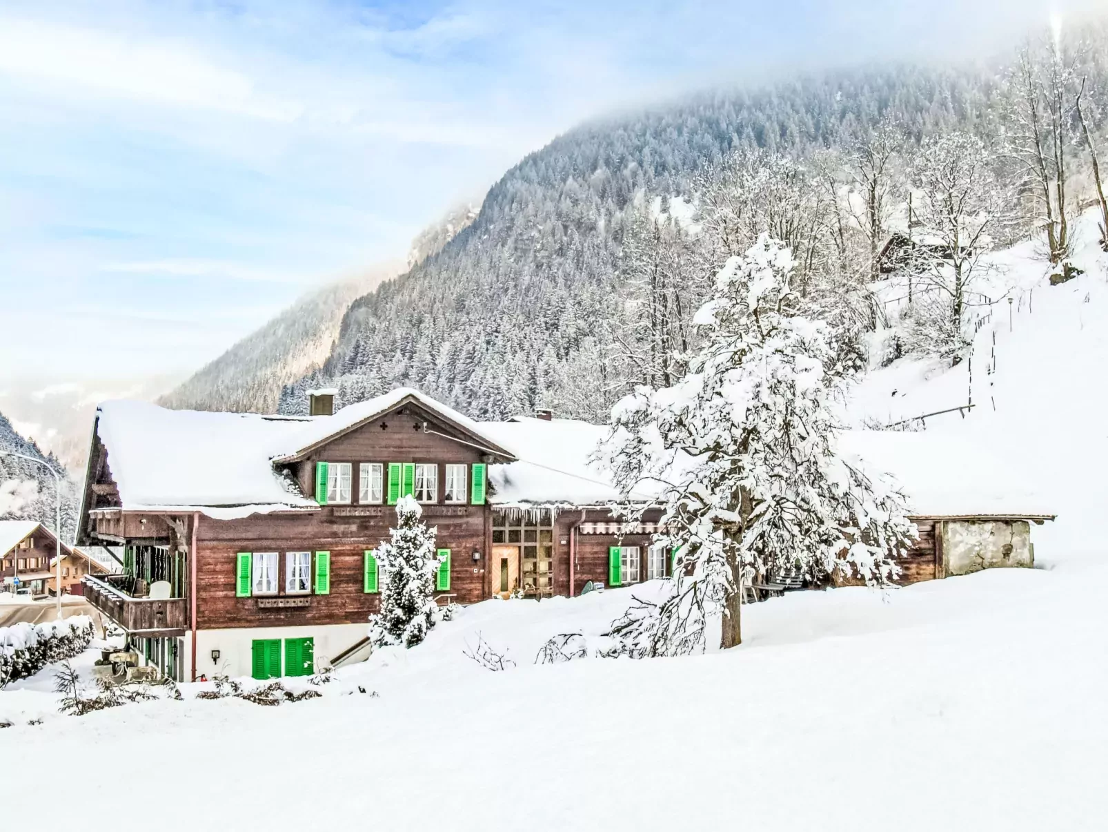 Chalet Schwendihus-Draußen