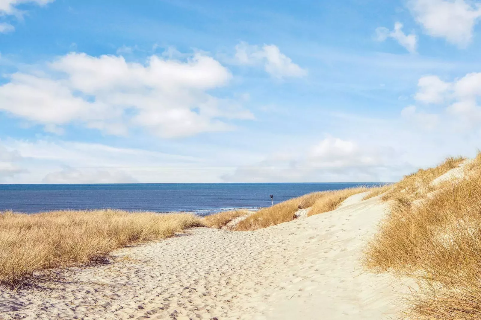 Maison de vacances pour 8 a Hvide Sande-Non tagué