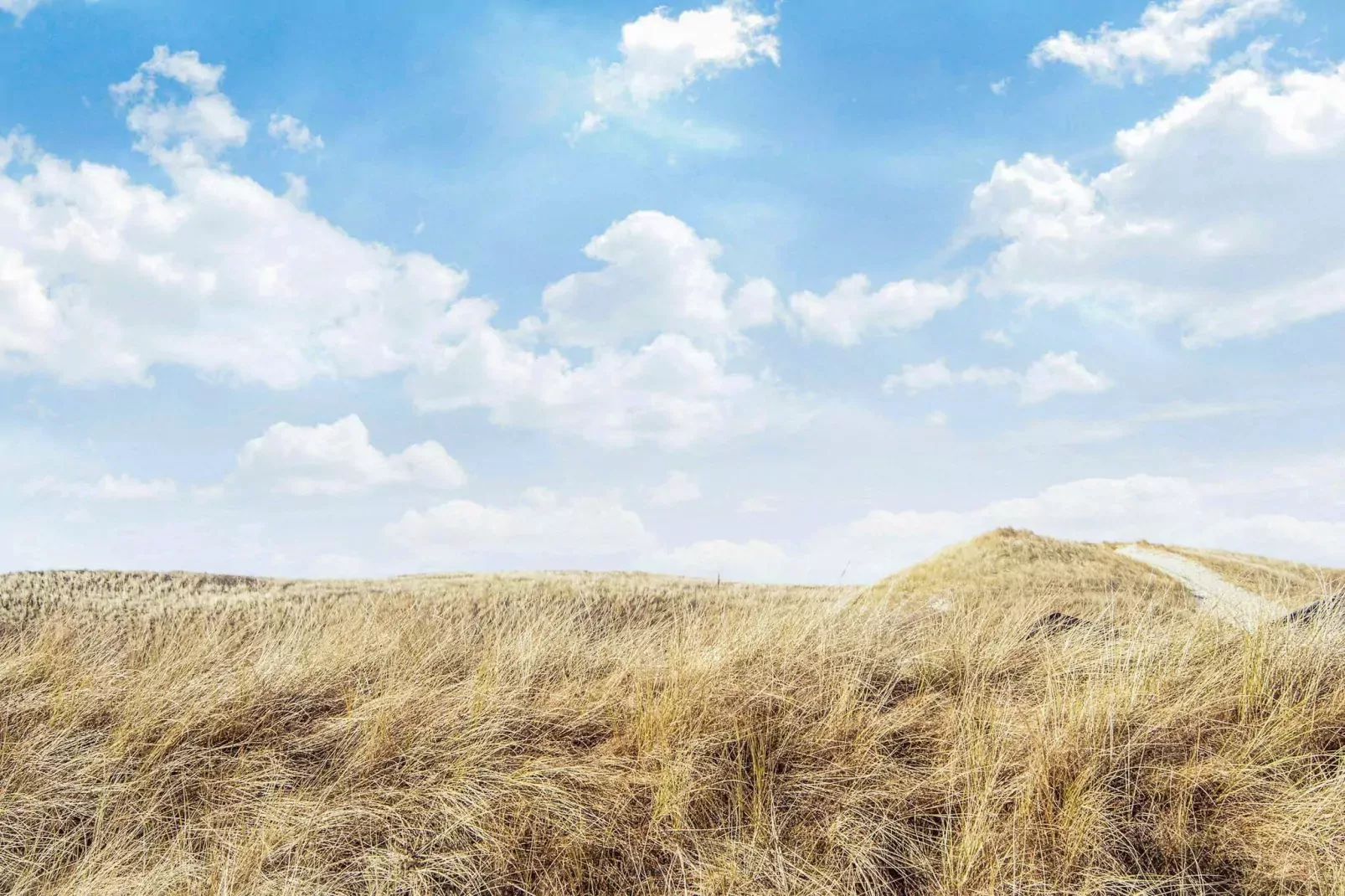 Maison de vacances pour 8 a Hvide Sande-Non tagué