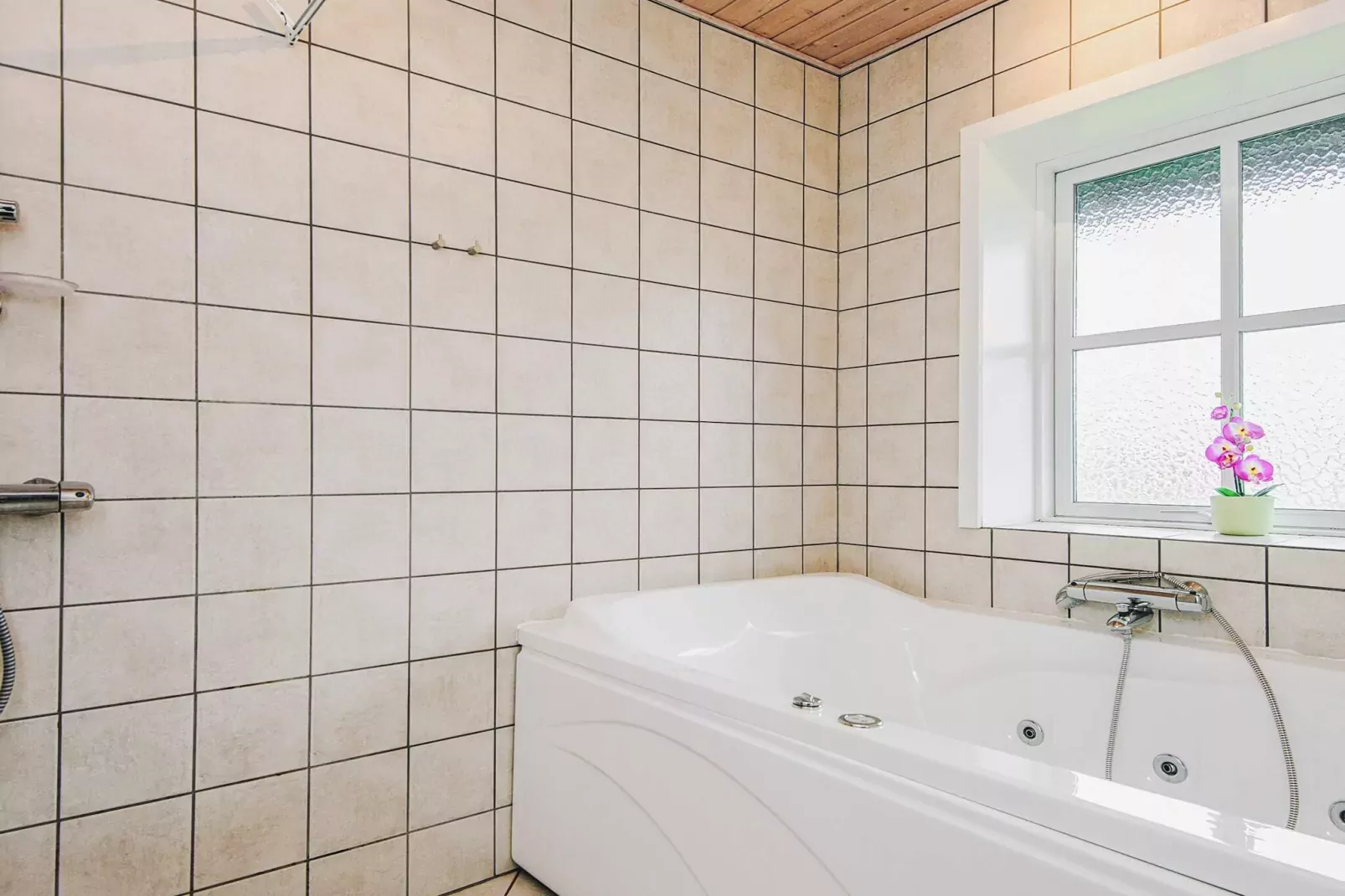 4 Personen Ferienhaus in Nørre Nebel-Wellnessbereich