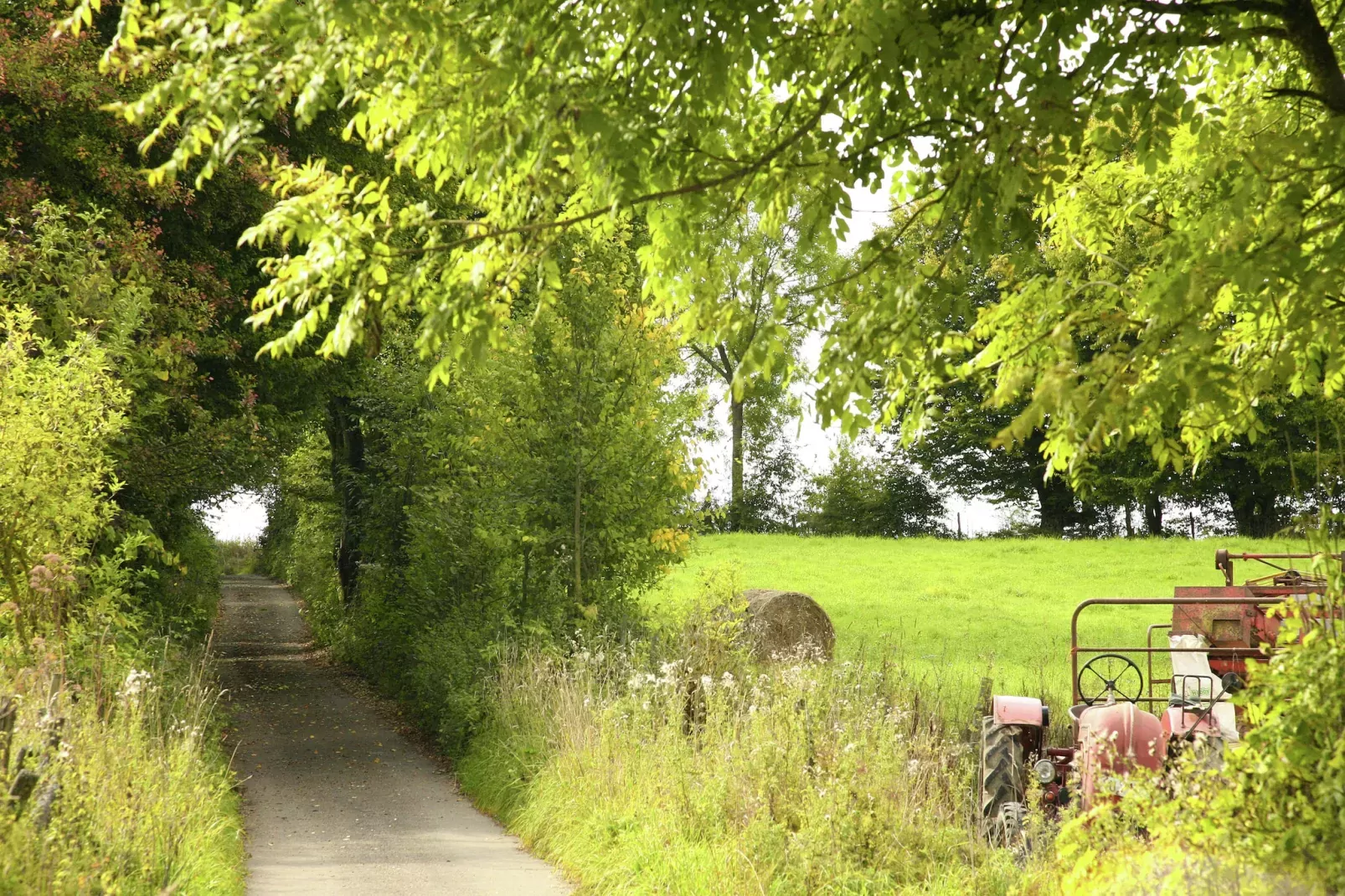 Maison à l’aise-Gebiete Sommer 20 km