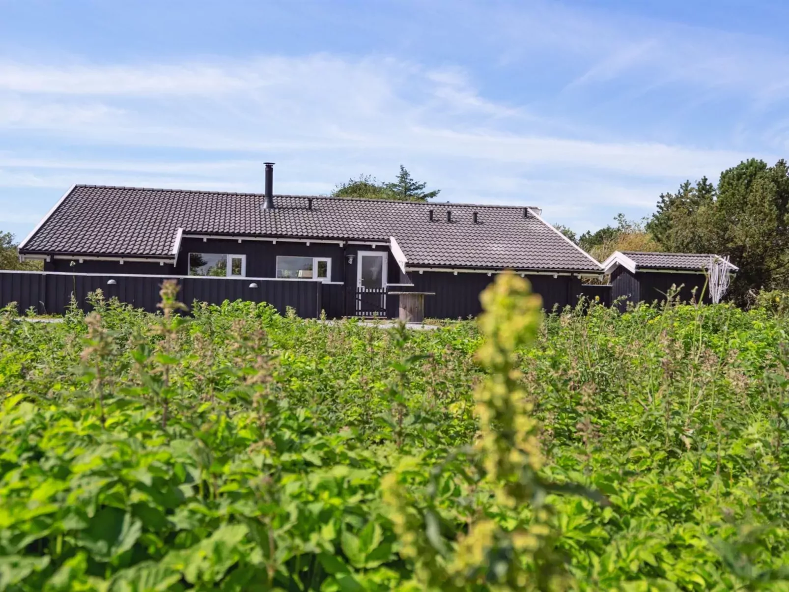 "Blondine" - 940m from the sea-Outside