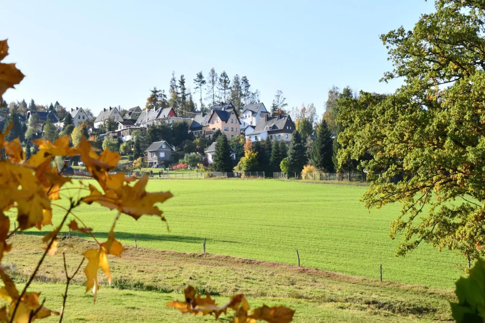 KaRo 40 qm-Aussicht Sommer