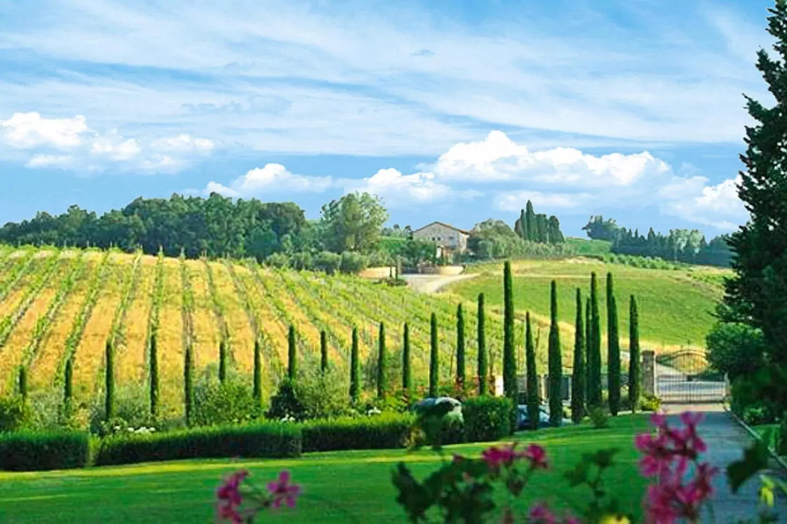 Ferienanlage Borgo della Meliana Gambassi Terme Typ Cottage Pool-Vue d'été