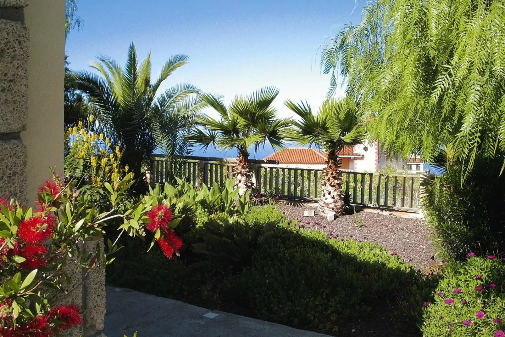 Casa Pedro-Gardens summer