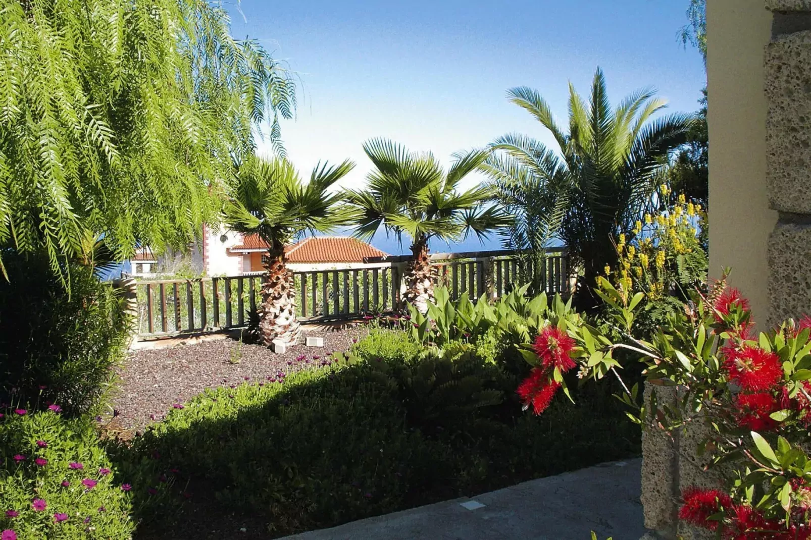 Casa Pedro-Gardens summer
