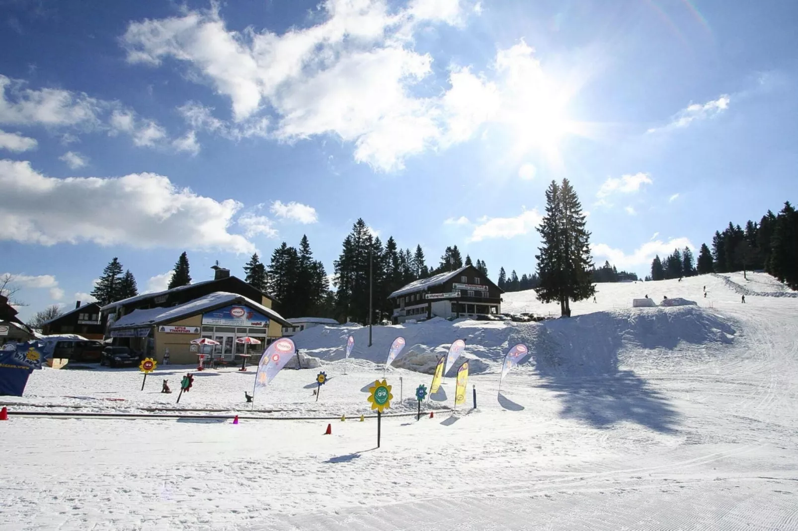 areawinter1km