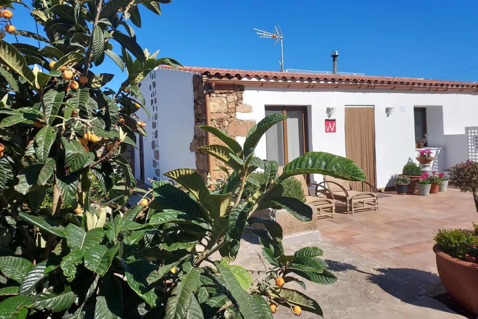 Casa las Bellas-Atmosphere