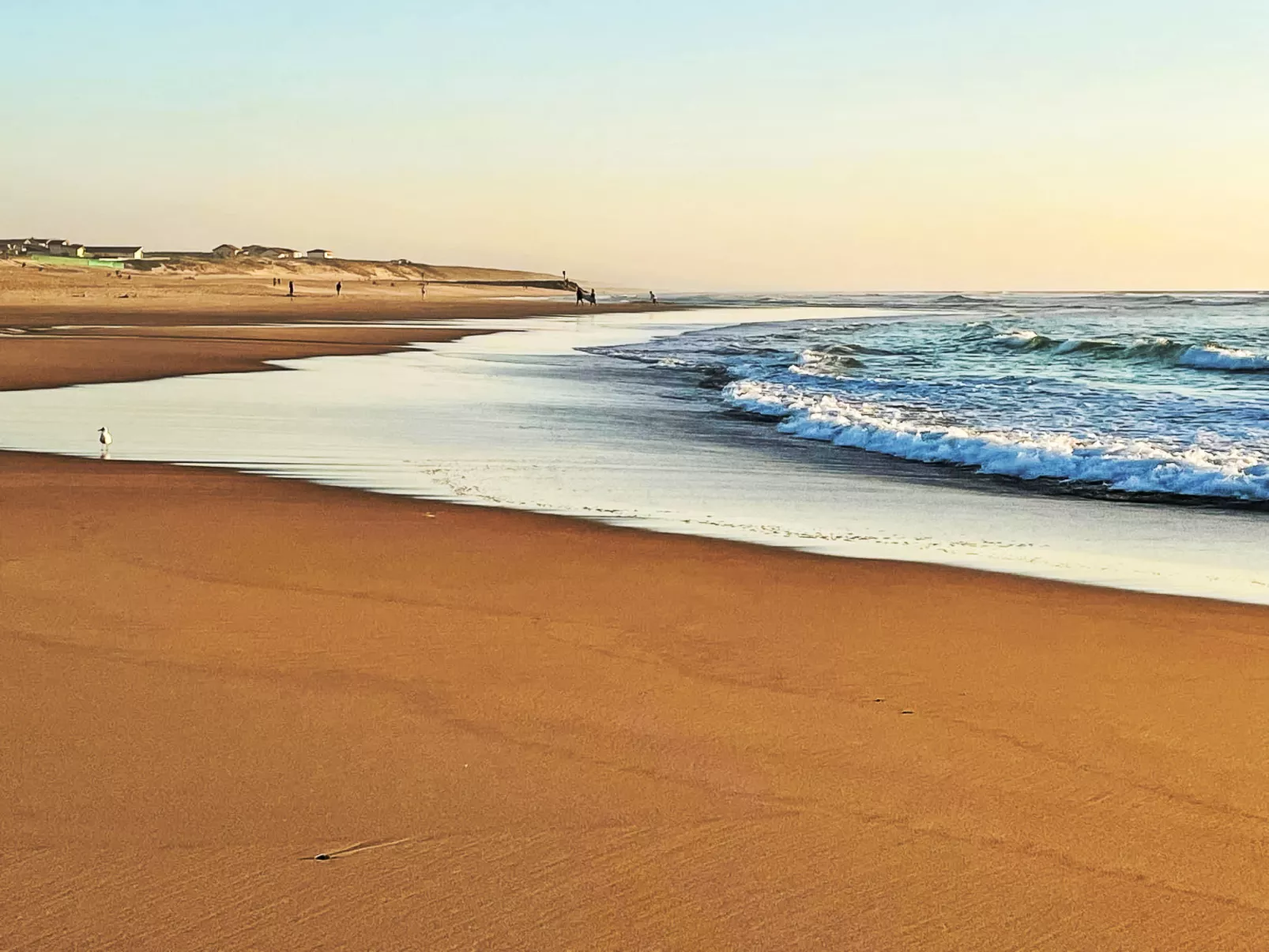 Les vagues-Area