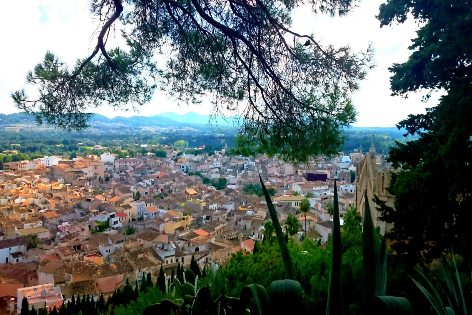 Sa Corbaia Nova-Gebiete Sommer 20 km