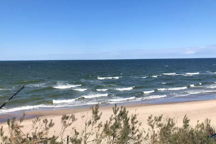 Holiday Resort in Rewal-Areas summer 1km