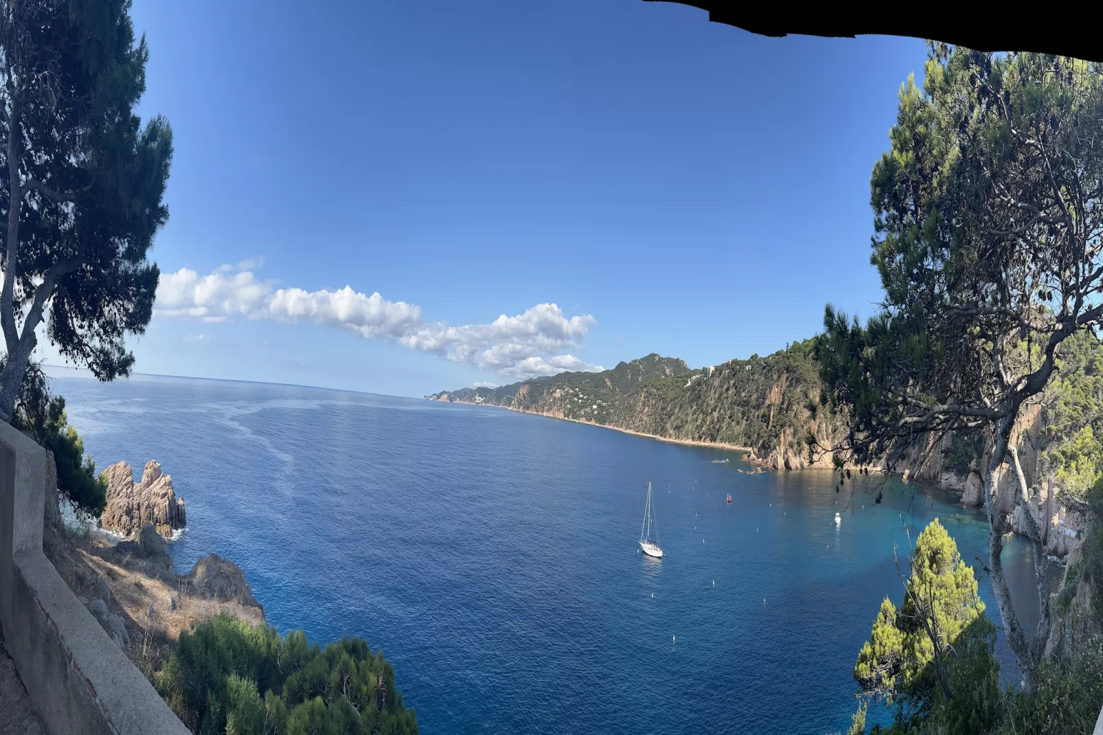 Montecarlo-Areas summer 1km