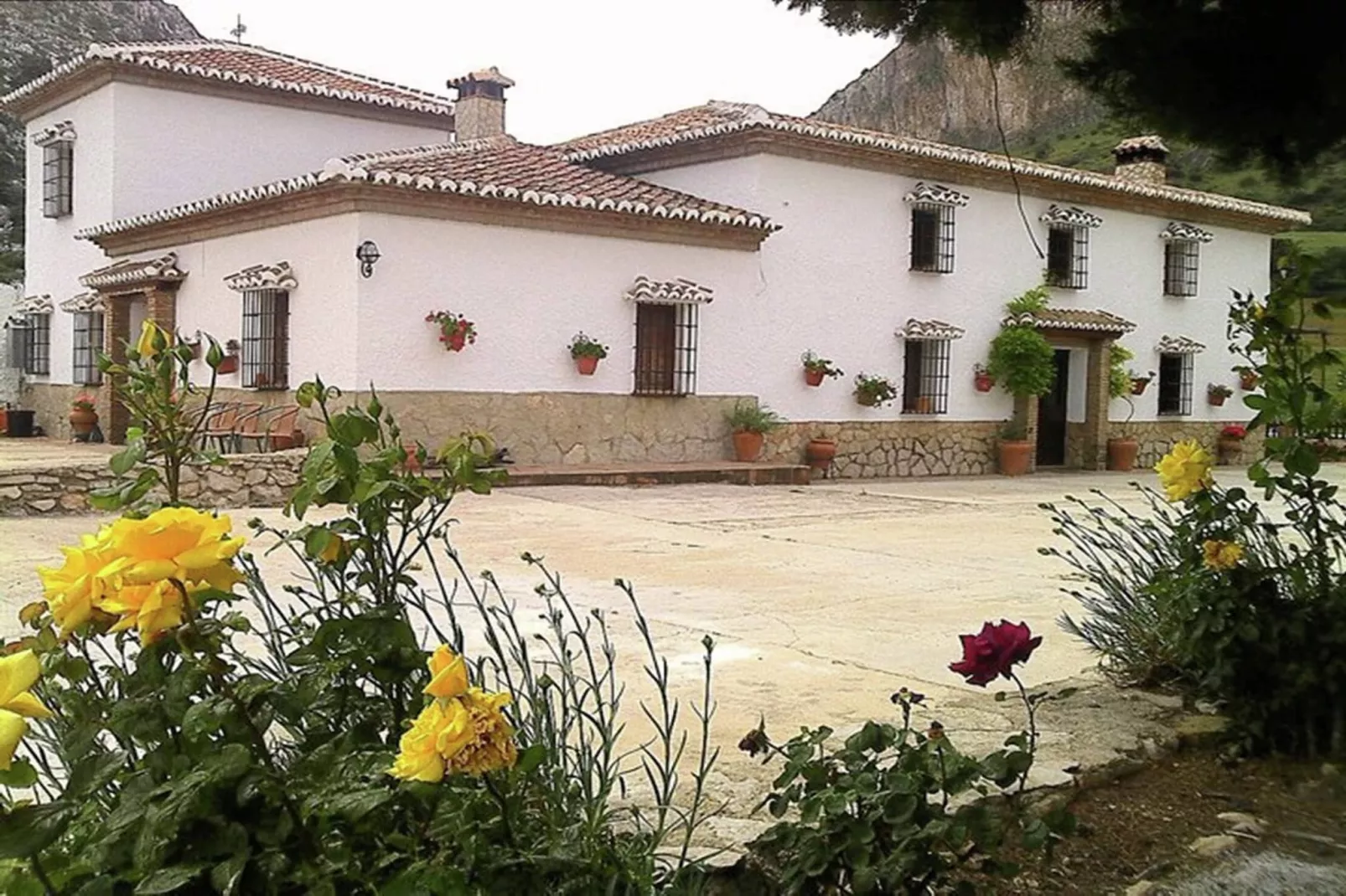 Cortijo Los Alazores-Exterior summer