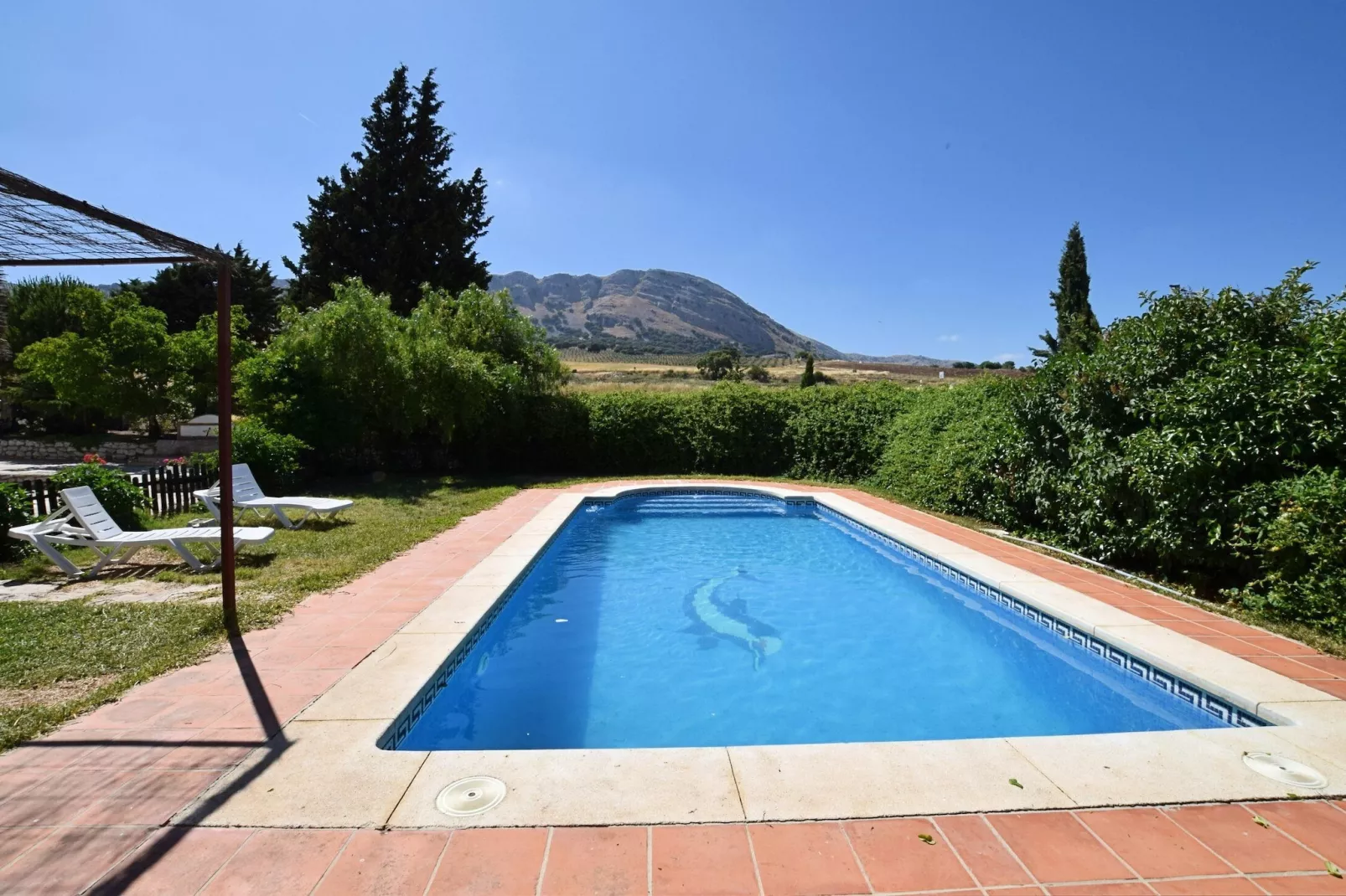Cortijo Los Alazores-Pool
