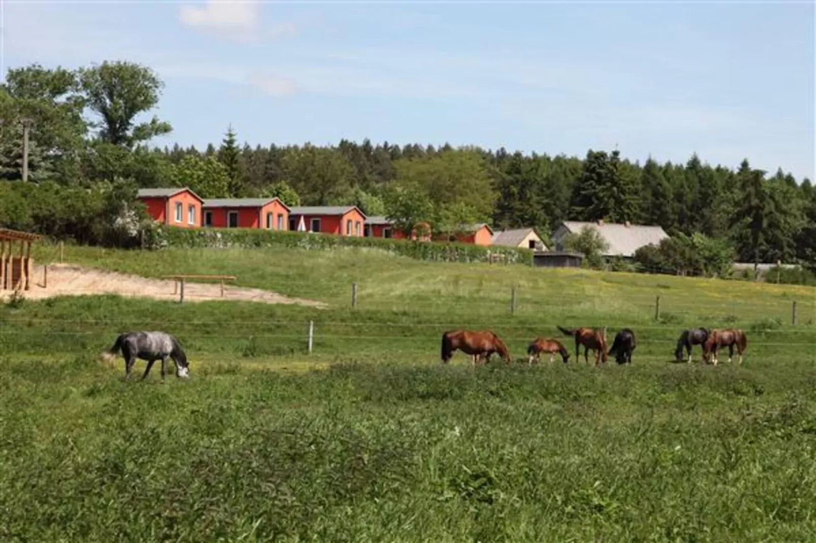 Ferienhäuser Inselblick / Ferienhaus 1 60 qm-View