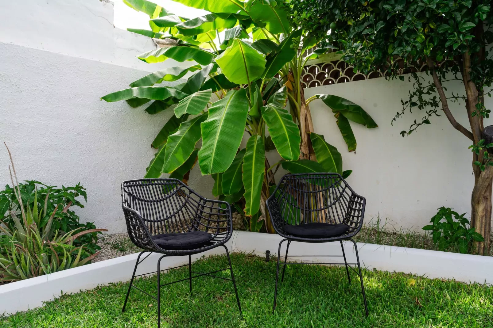 Casa Alejandro-Gärten Sommer