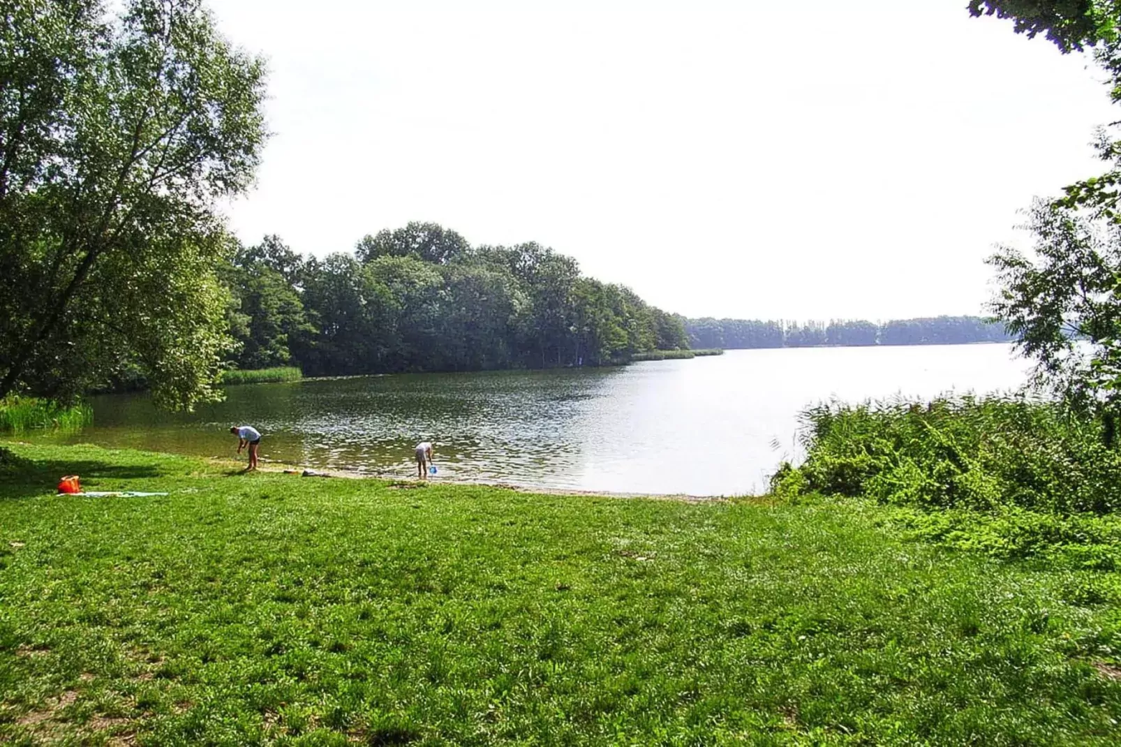 Ferienhaus 55 qm-Areas within 5km in summer
