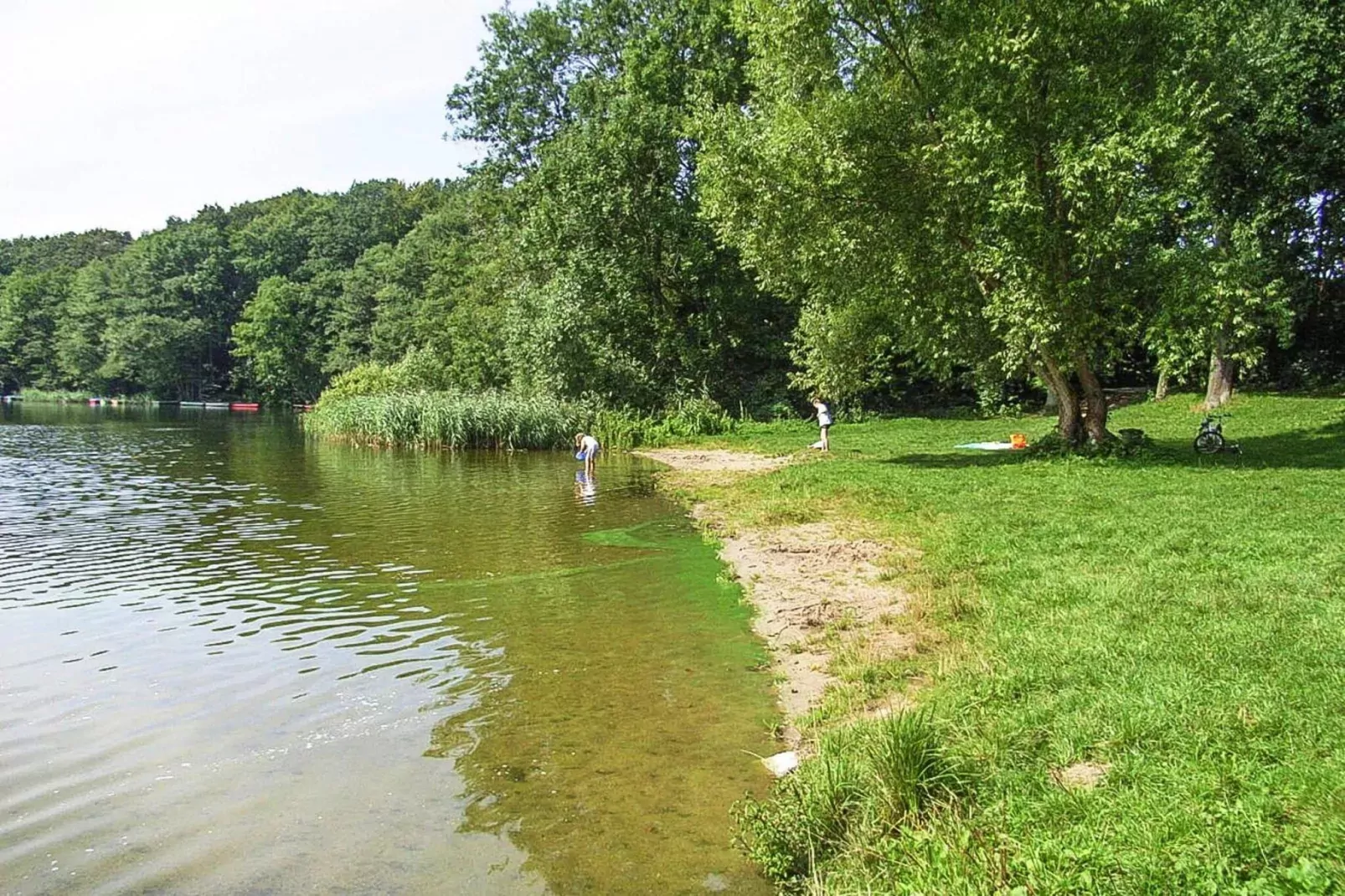 Ferienhaus 55 qm-Areas within 5km in summer