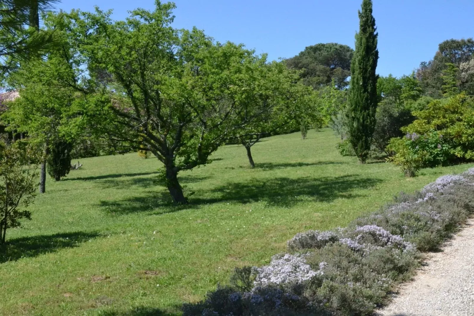 La Pampa-Gardens summer