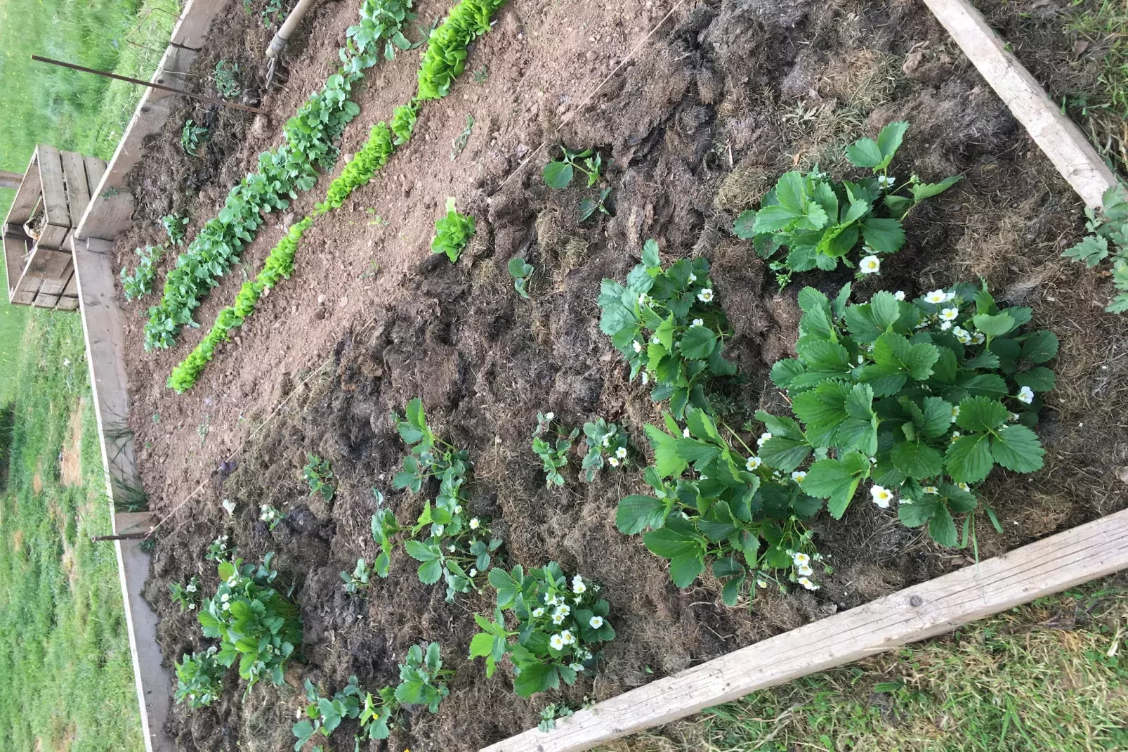 LE CLOS DU BANNET-Außenbereich Sommer