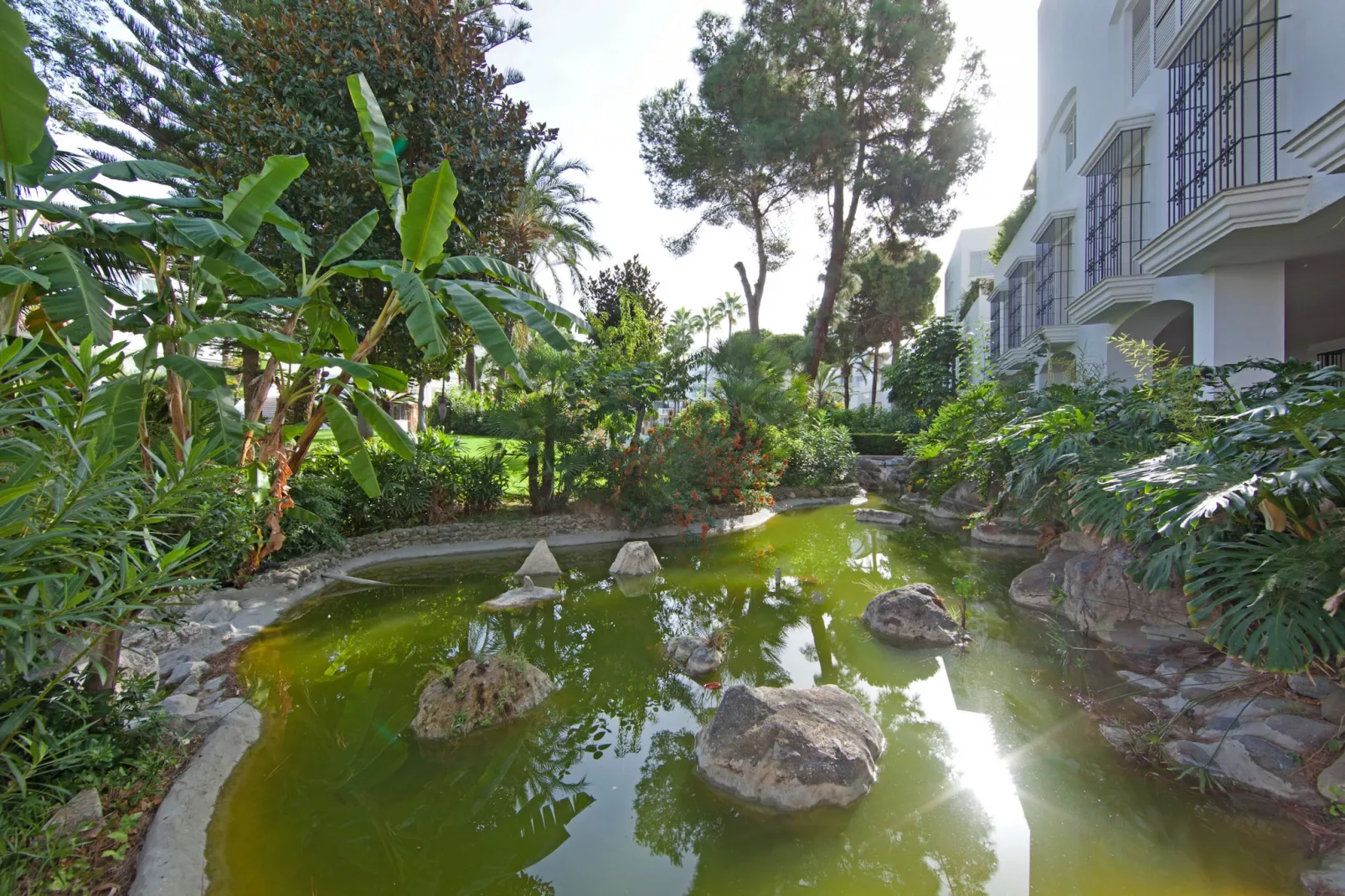 White Pearl Beach J4-Gardens summer