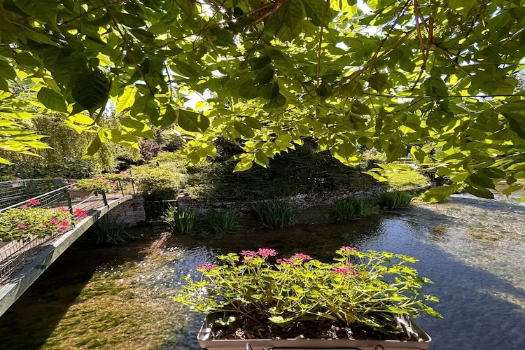 Bligny-sur-Ouche-Areas summer 1km
