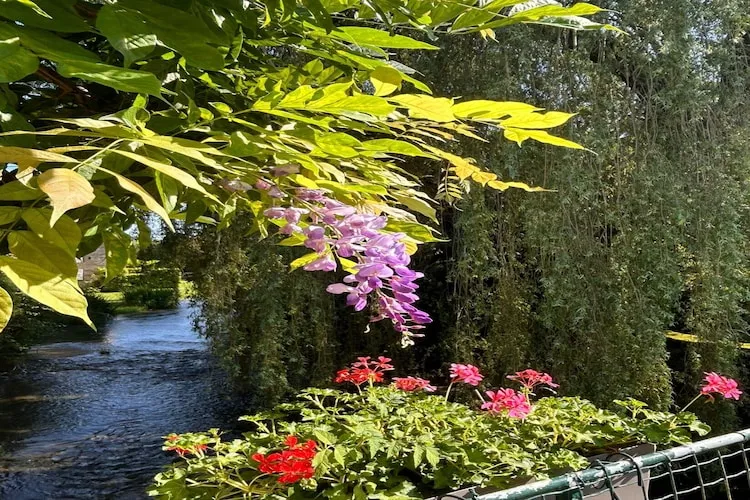 Bligny-sur-Ouche-Areas summer 5km