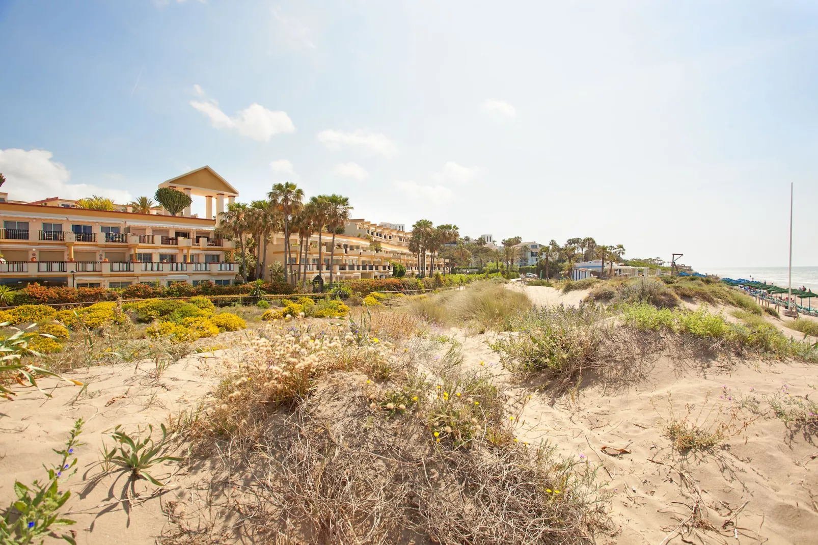 Romana Playa 555-Not tagged