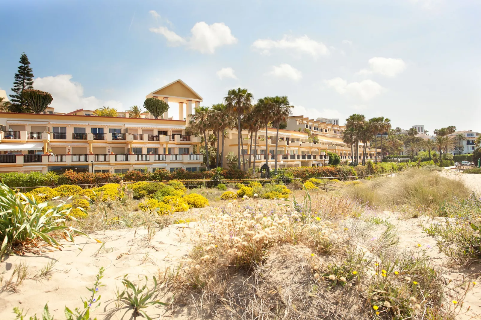 Romana Playa 555-Not tagged