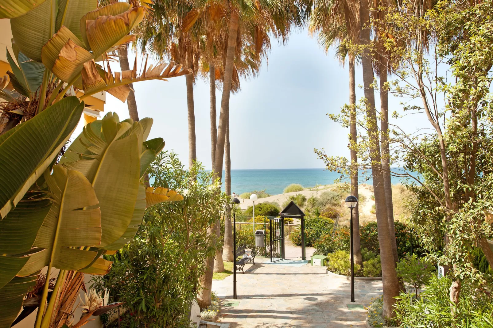 Romana Playa 555-Gardens summer