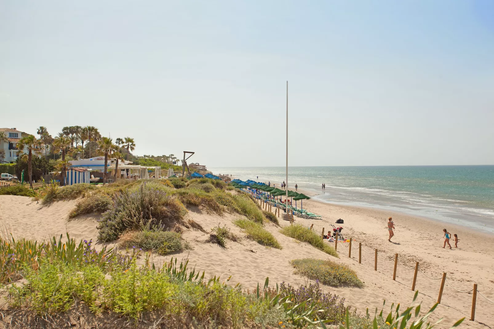 Romana Playa 555-Outdoor