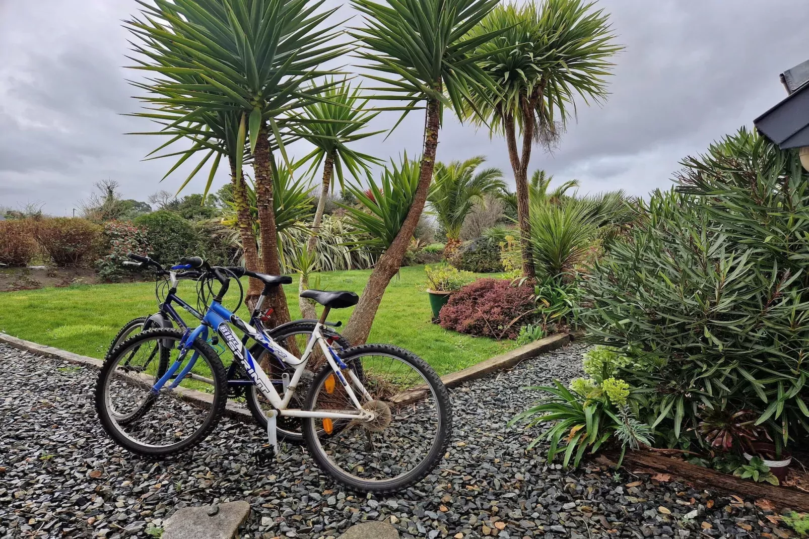 Pretty holiday home in palm garden near coast Pleubian-Gardens summer