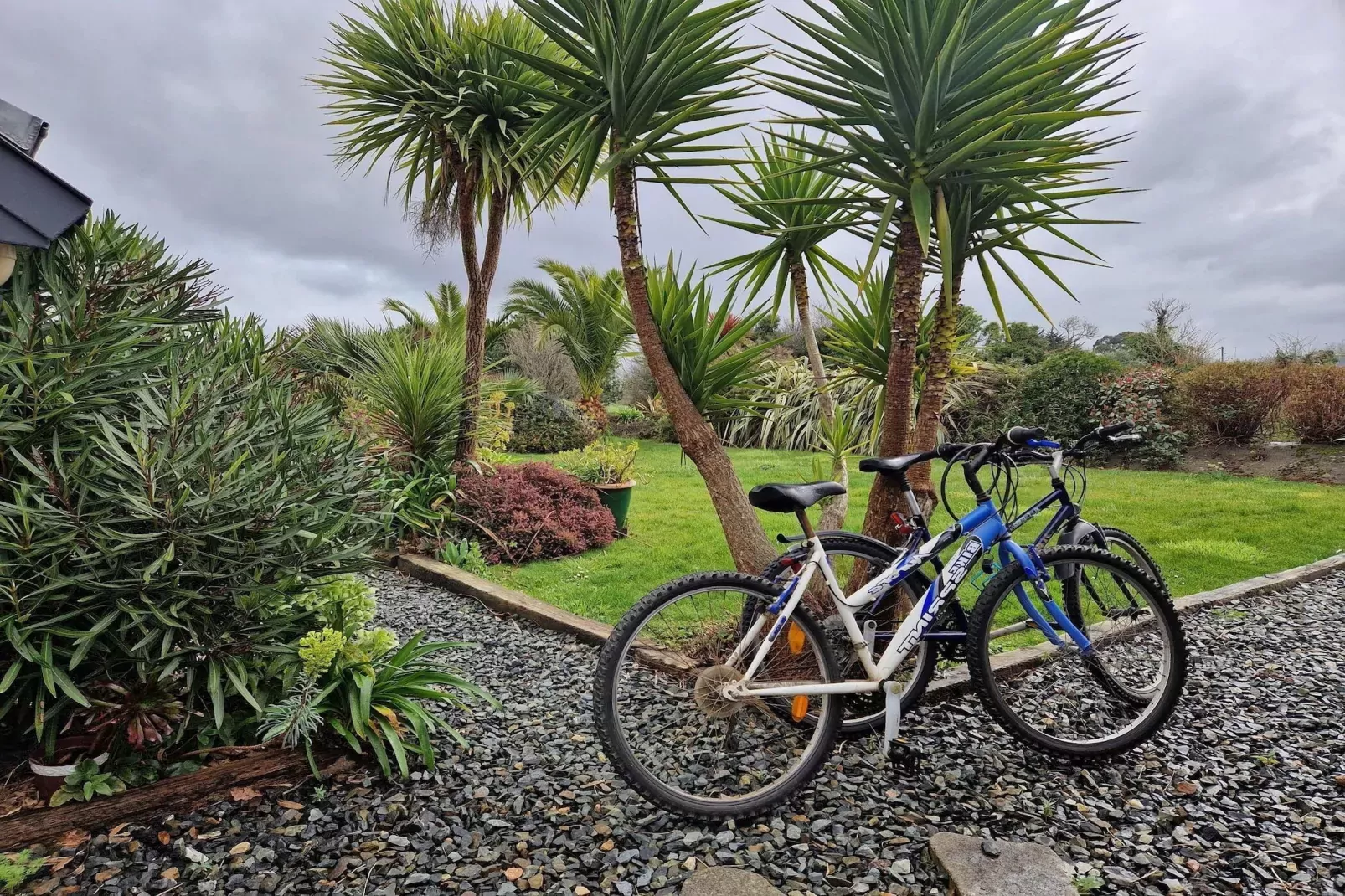 Pretty holiday home in palm garden near coast Pleubian-Gardens summer