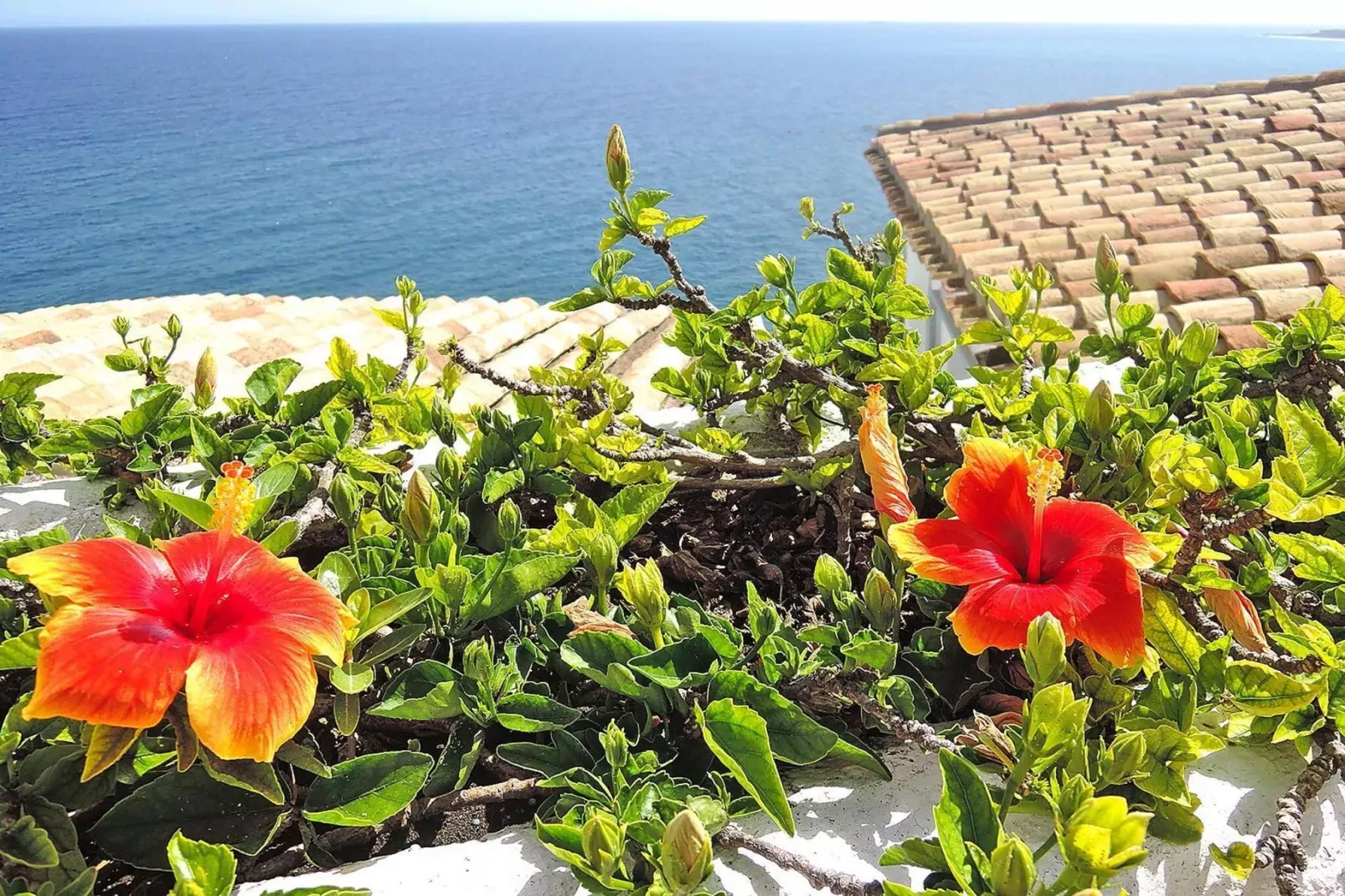 Villa Torre, Salobreña-Casa Torre-Aussicht Sommer