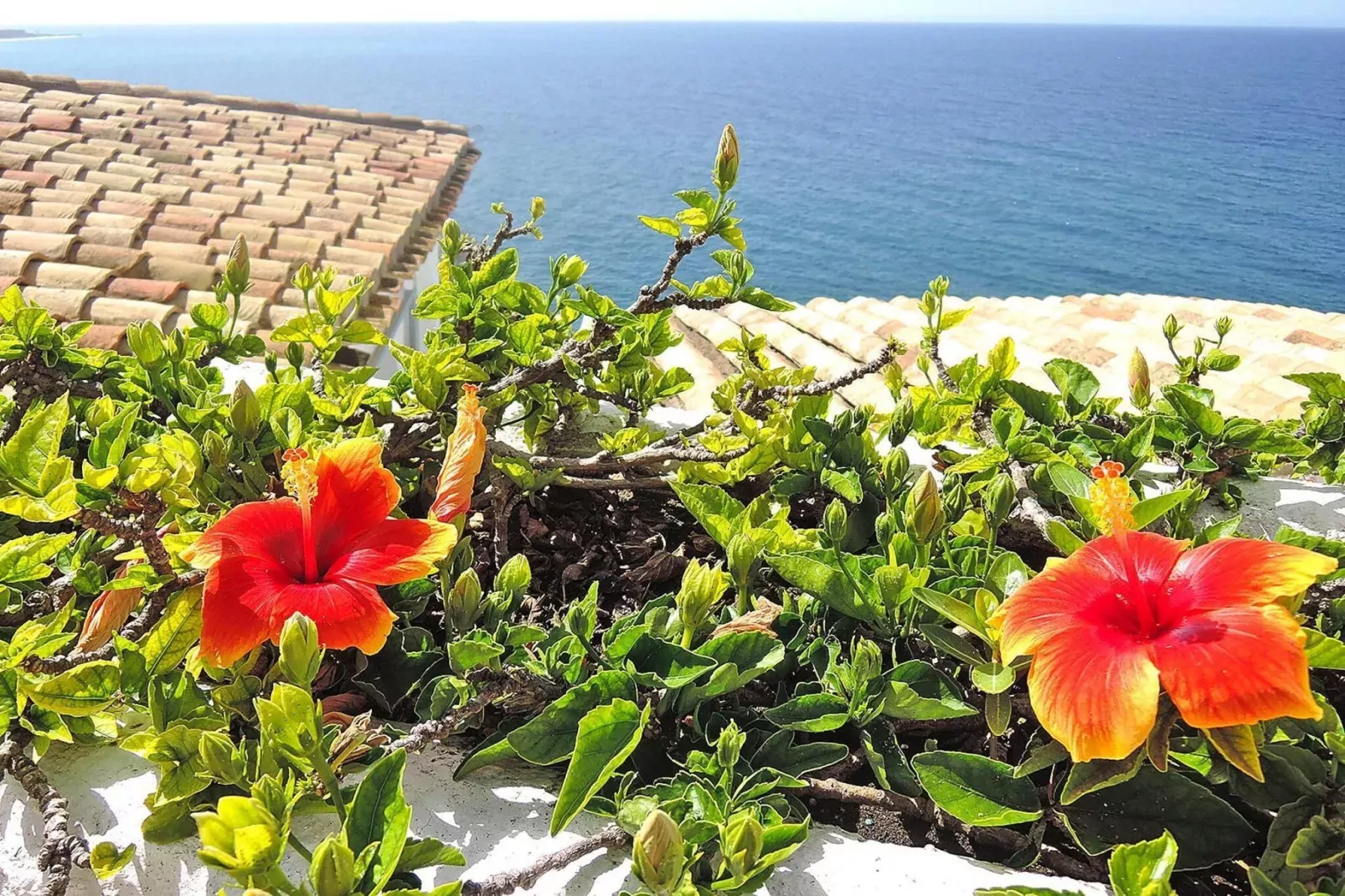 Villa Torre, Salobreña-Casa Torre-Aussicht Sommer