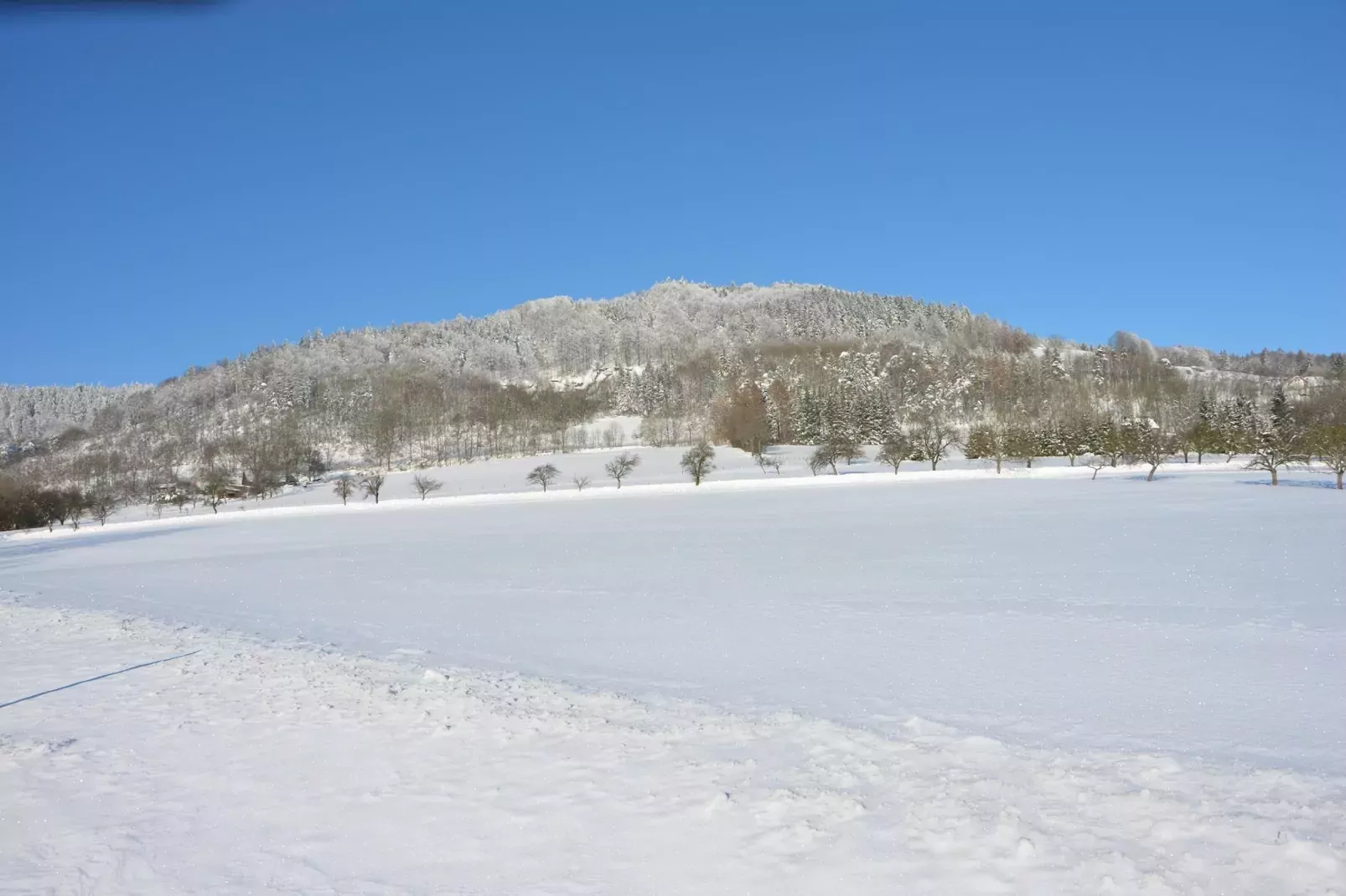 Vladka-Gebiet Winter 1 km
