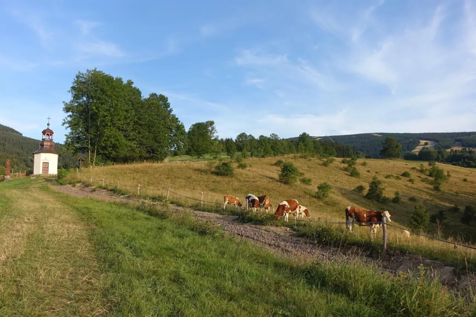 Rokytno-Gebiete Sommer 5 km