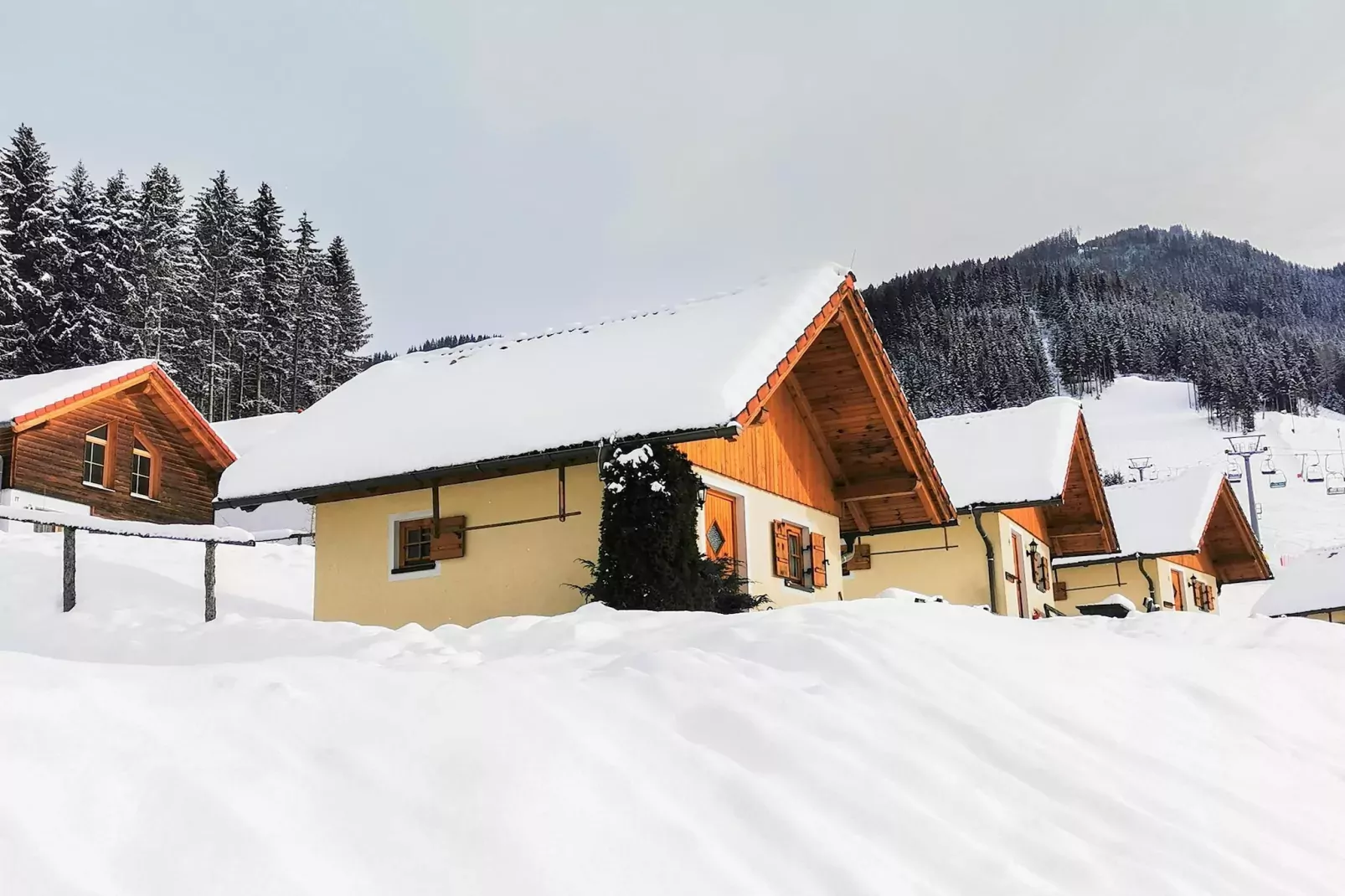 Ferienpark Gaal - Alpenland-Extérieur hiver