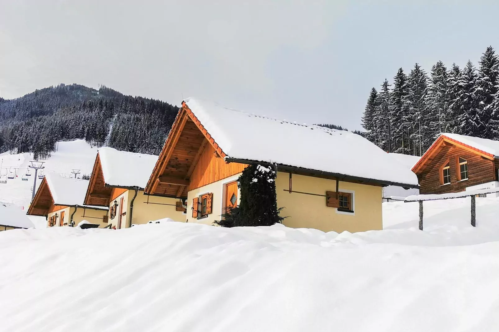 Ferienpark Gaal - Alpenland-Extérieur hiver