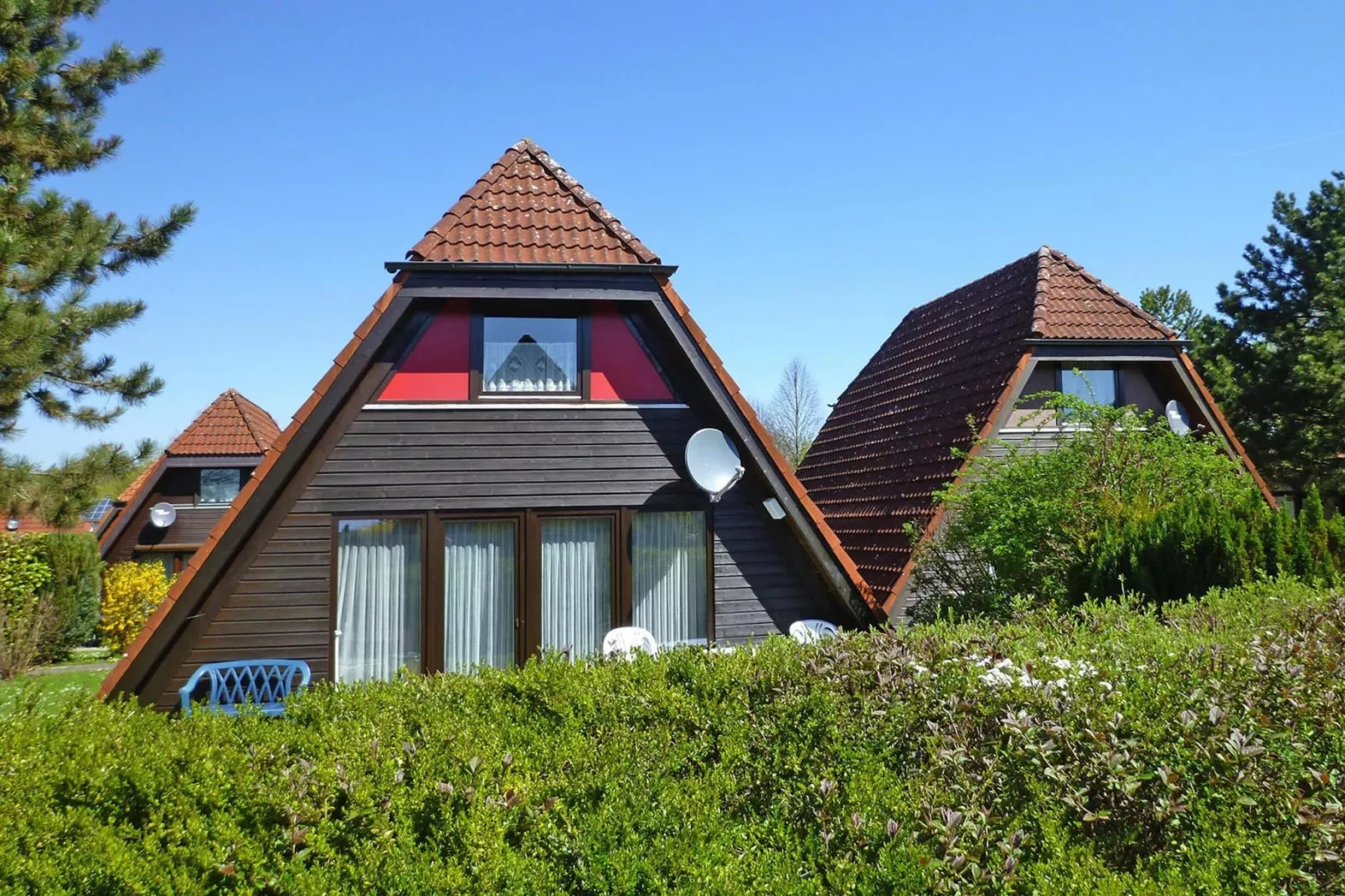 Nurdachhaus / Typ N 8 70 qm-Exterior summer
