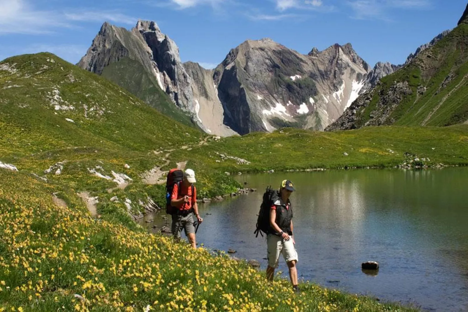 Haus Schedler - Wiesenblick-Areas summer 5km