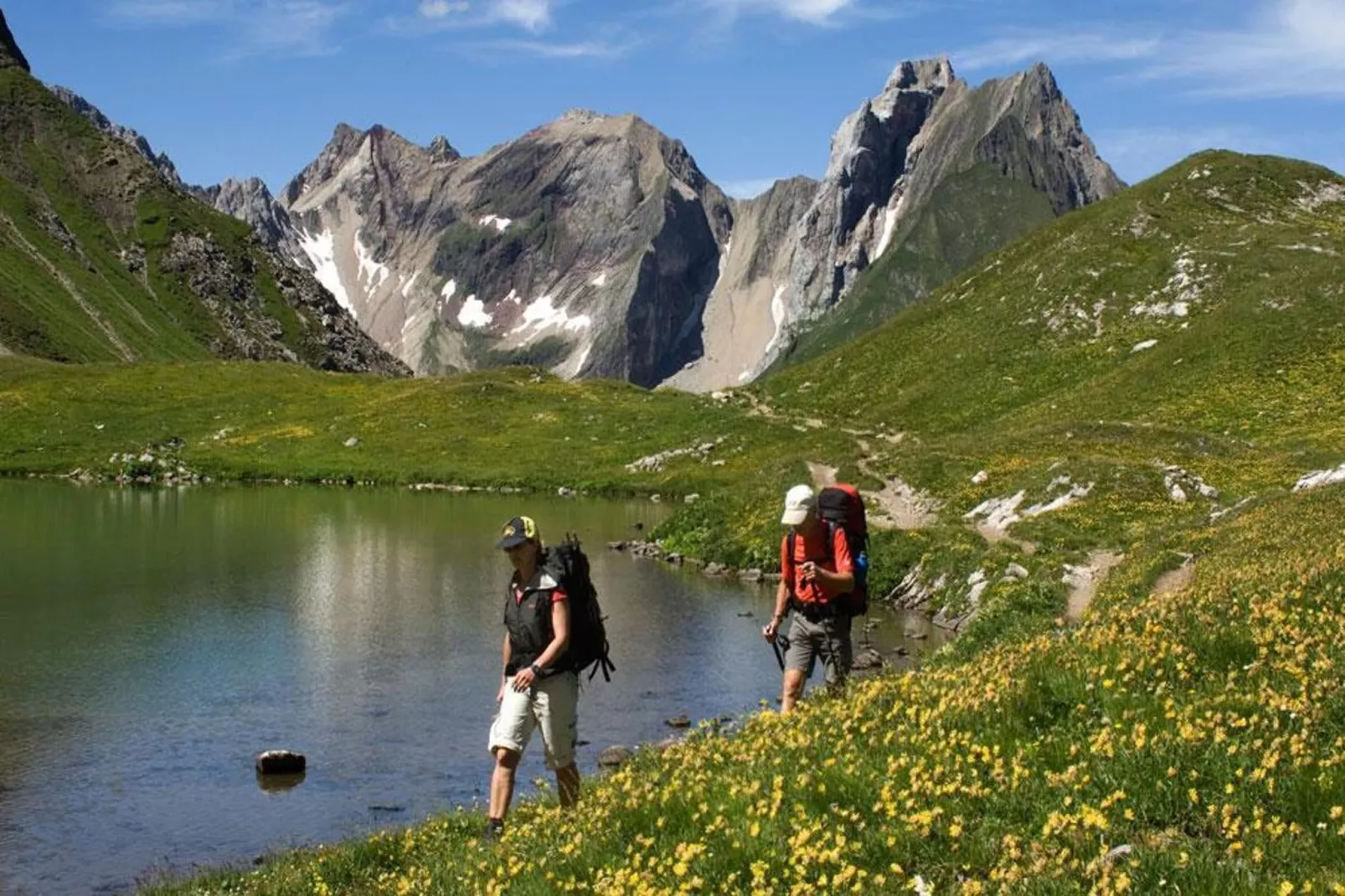 Haus Schedler - Wiesenblick-Areas summer 5km