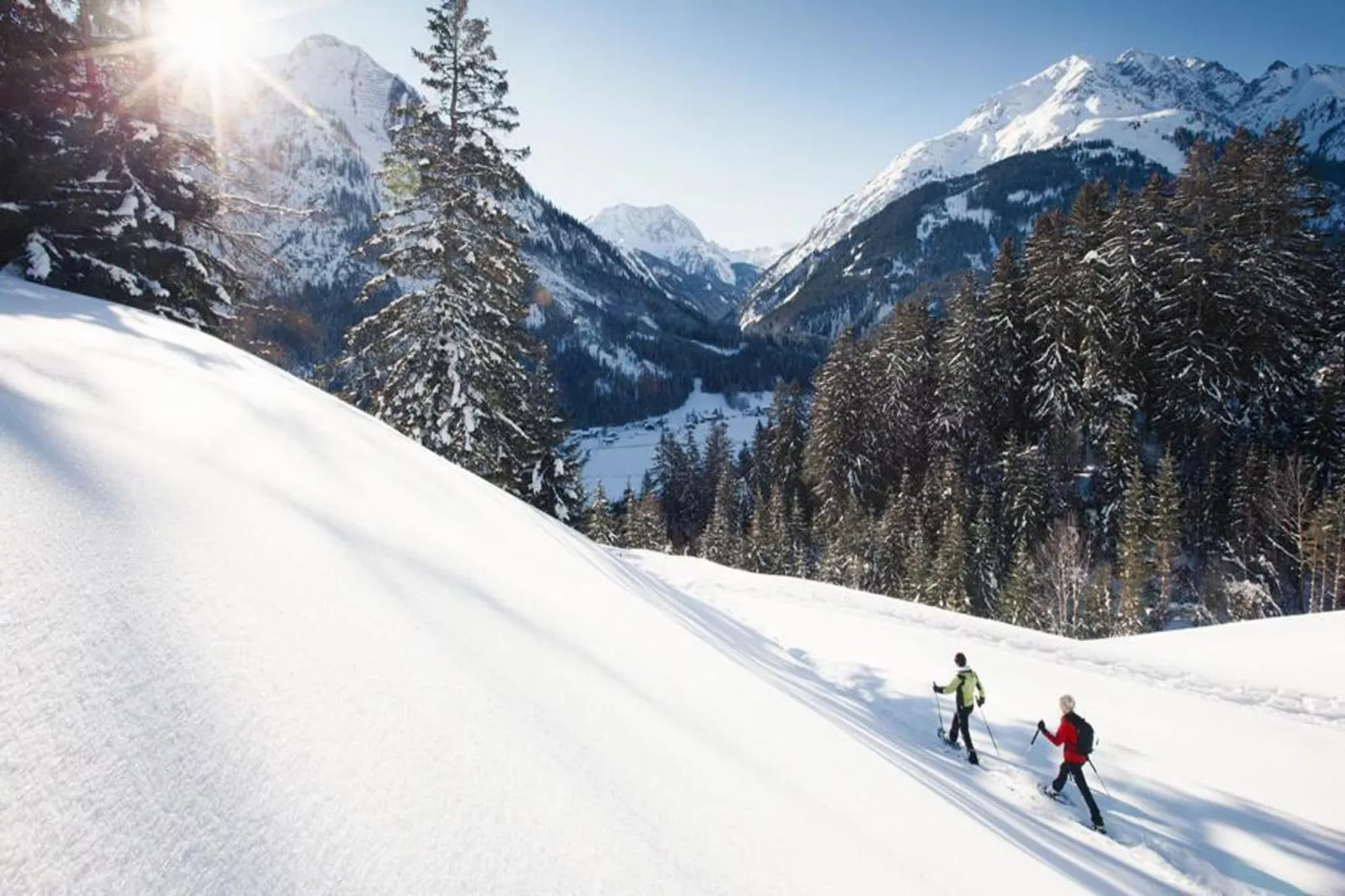 Haus Schedler - Wiesenblick-Area winter 5km