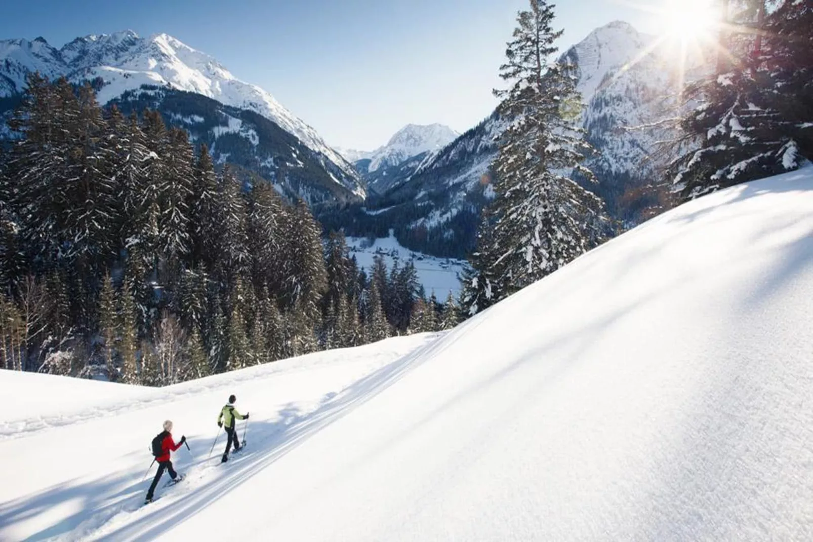 Haus Schedler - Wiesenblick-Area winter 5km