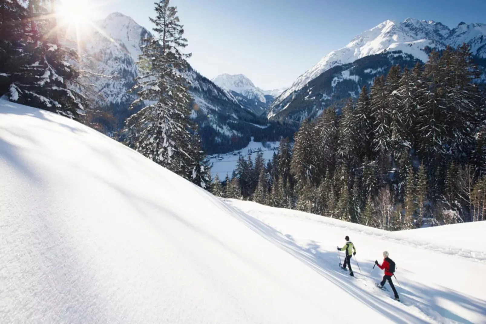 Haus Schedler - Gipfelblick-Area winter 5km