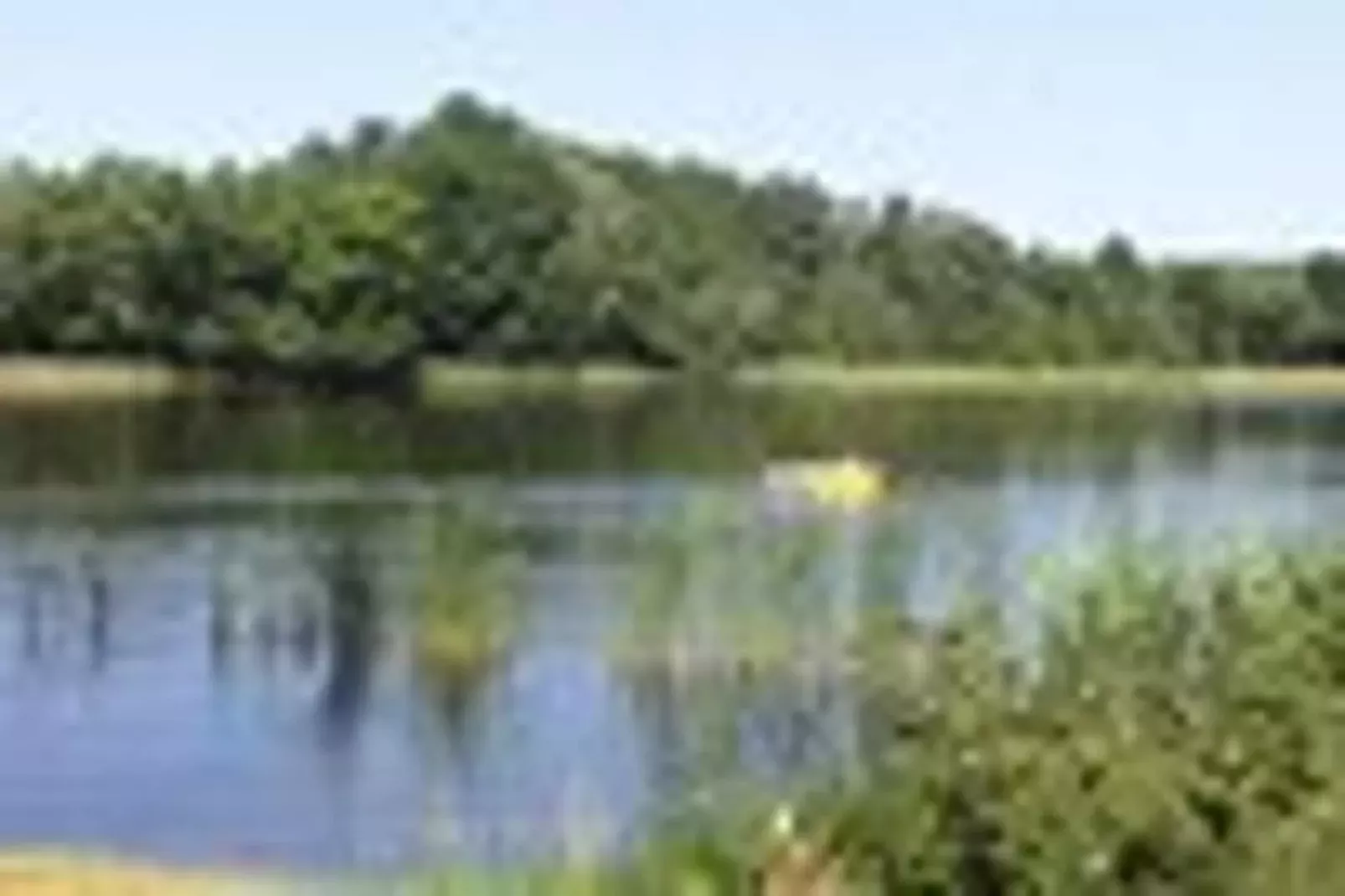 Ferienhaus 140 qm-Areas summer 5km