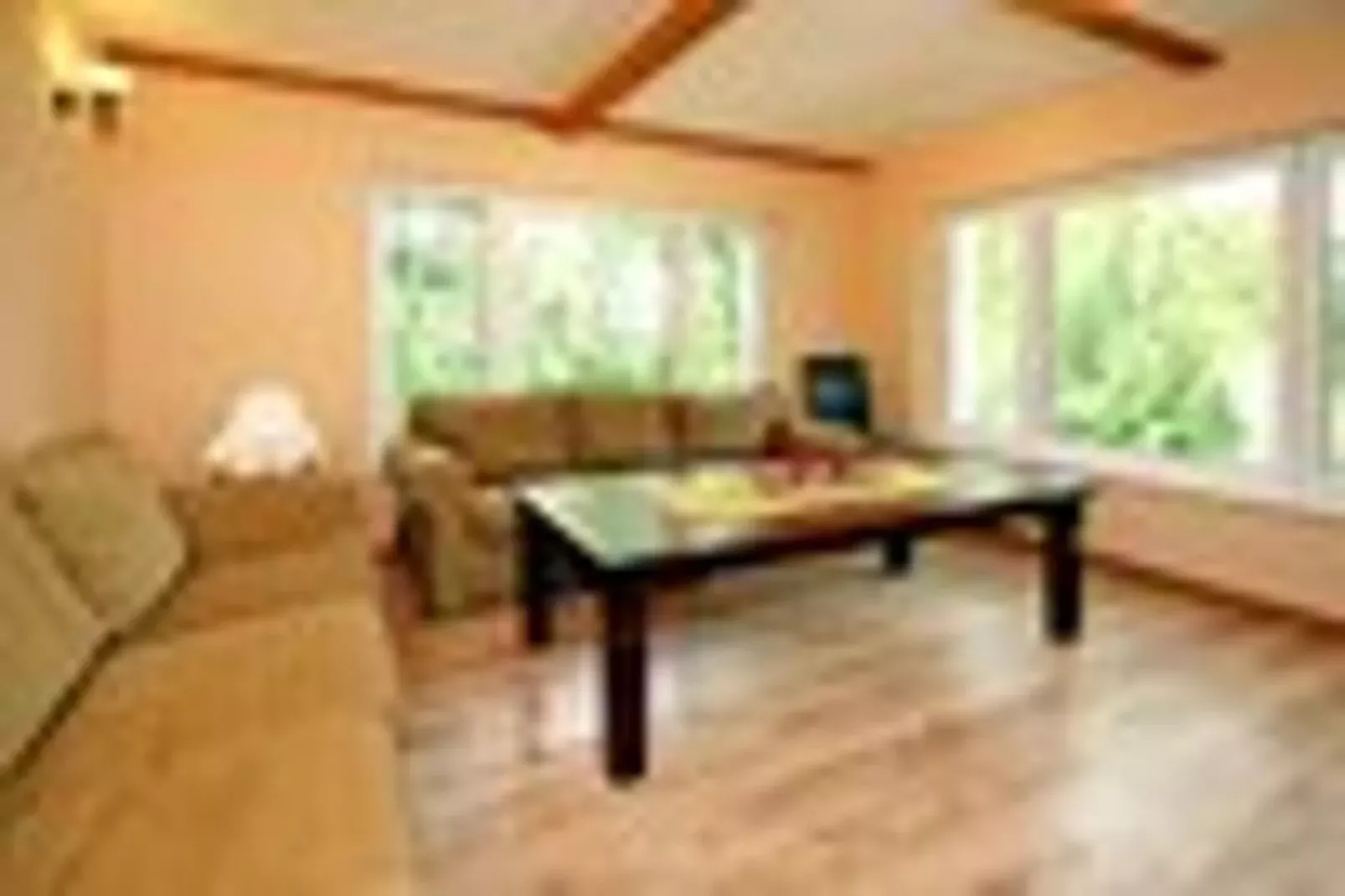 Ferienhaus 140 qm-Living room