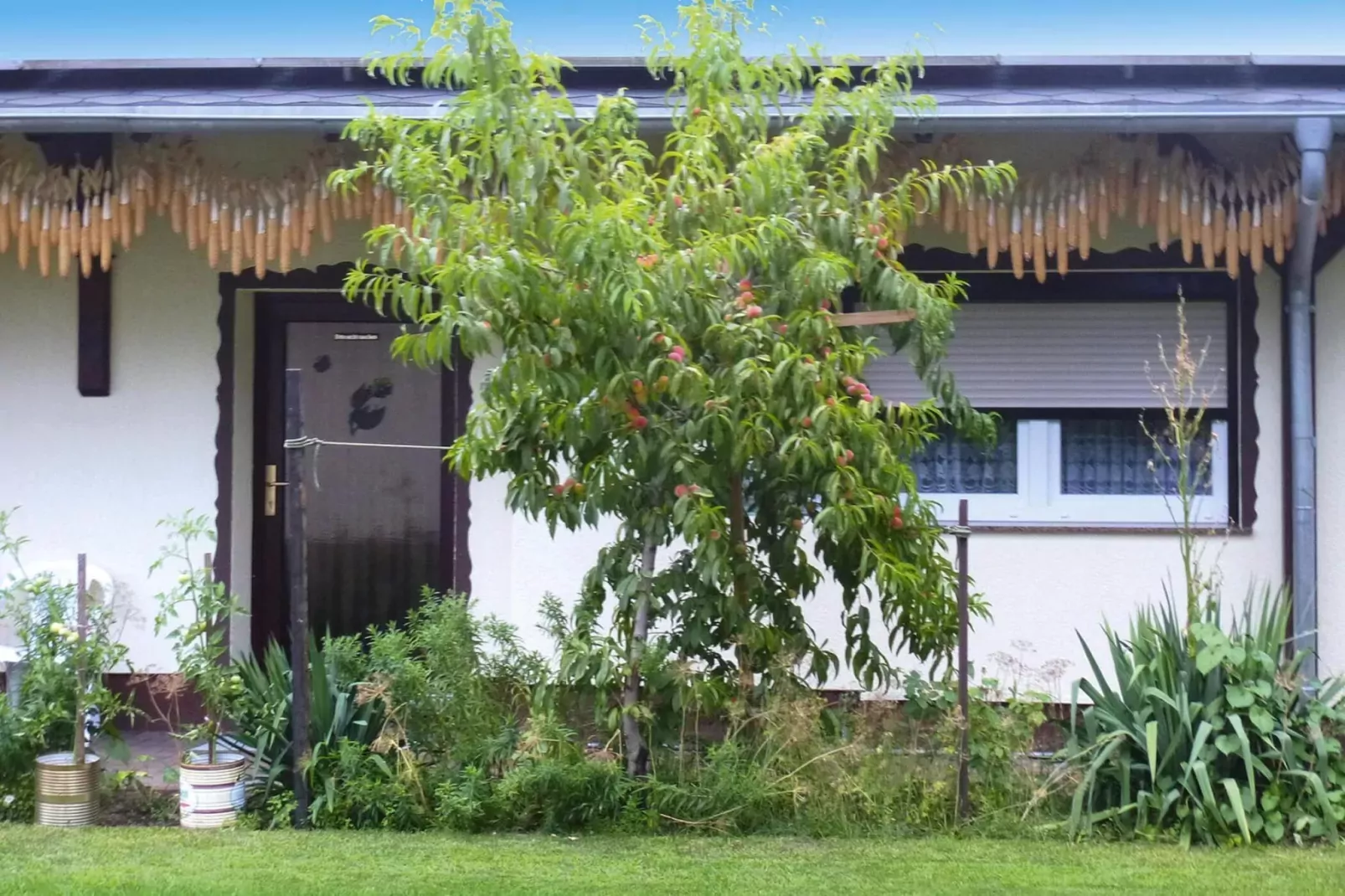 Reihenbungalow an einem Spreearm-Exterior summer