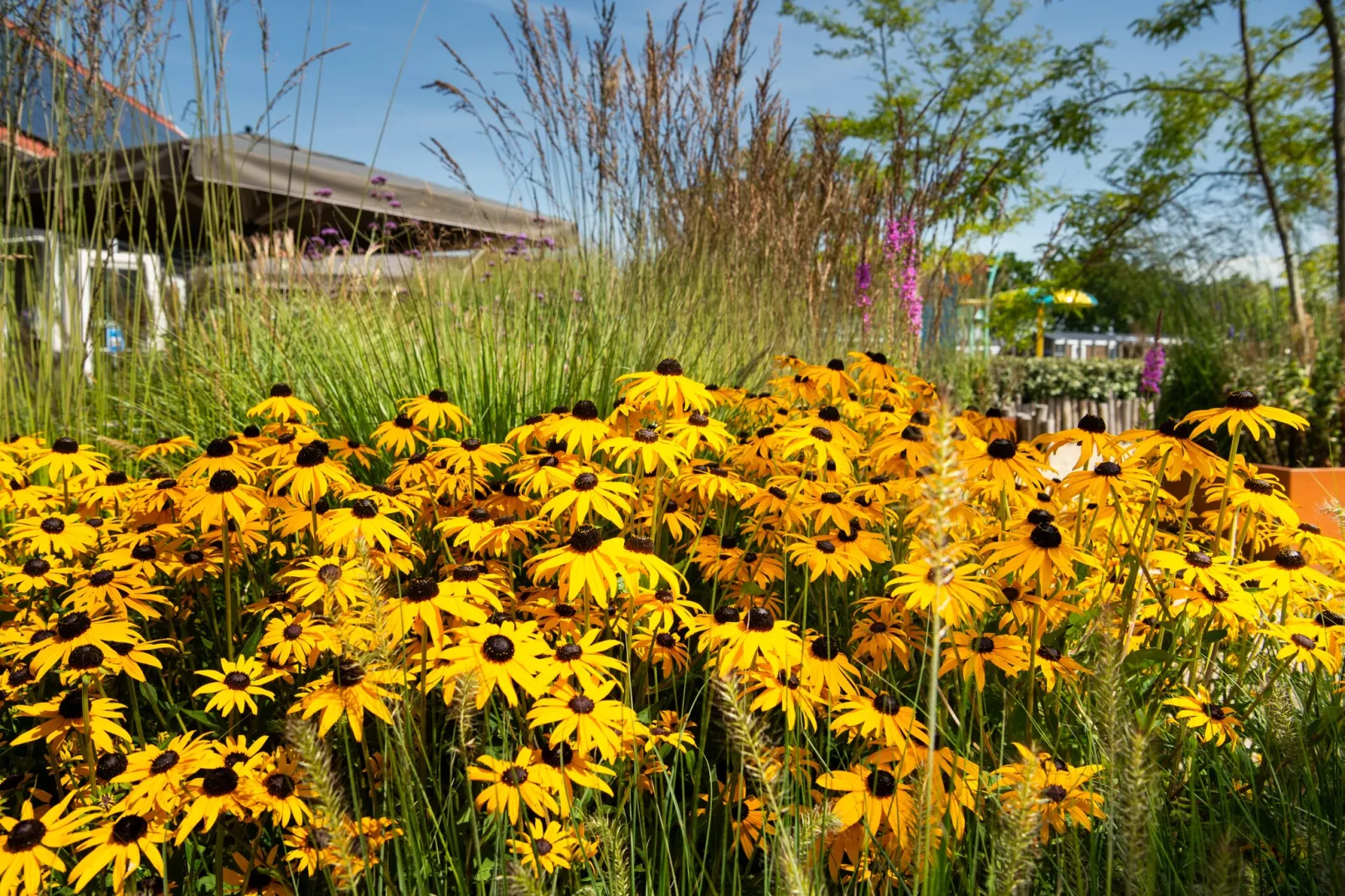 Vakantiepark Duinzicht 4-Gardens summer