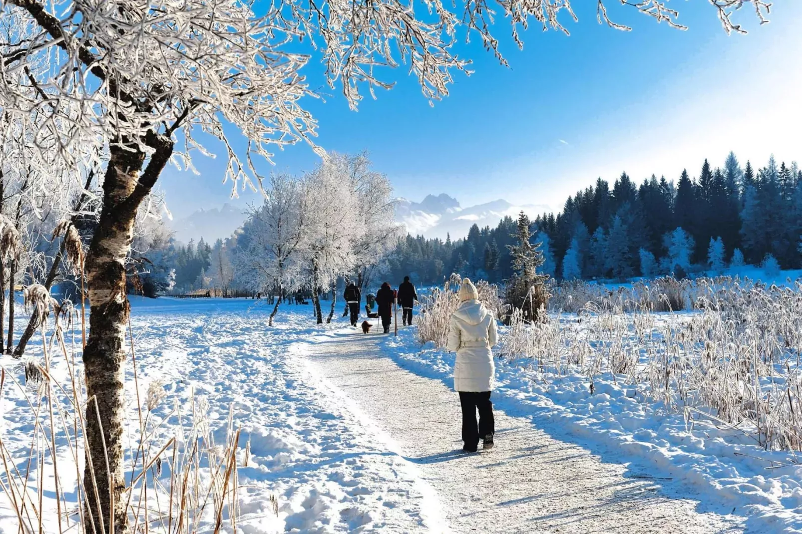 Bergbauernhof Wallnöfer-Area winter 5km